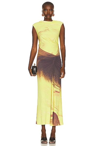 Simkhai Acacia Midi Dress In Luminary Print