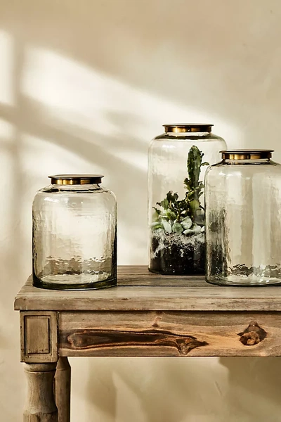 Terrain Hammered Glass Terrarium With Lid