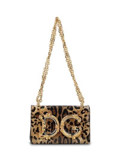 Dolce & Gabbana Handbags In Leopardo