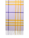 Burberry Women Giant Check Cashmere Scarf In Haze