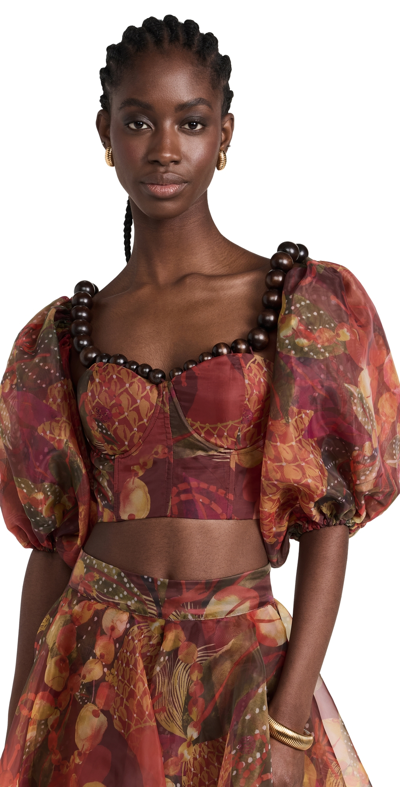 Andrea Iyamah Women's Omma Corset Puff-sleeve Crop Top In Kola Print