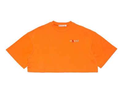 Marni Kids' T-shirt Cropped Con Logo In Orange