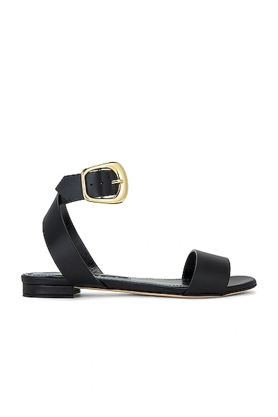 Manolo Blahnik Brutas Leather Ankle-strap Sandals In Blck0015