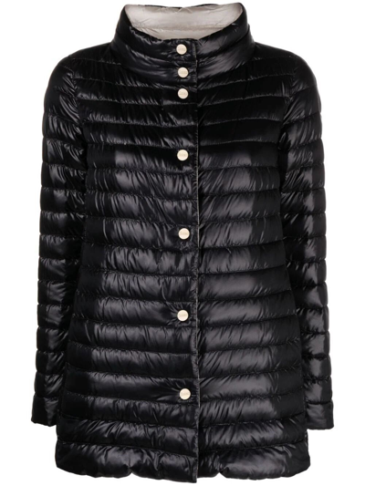 Herno `a-shape` Reversible Padded Jacket In Black  
