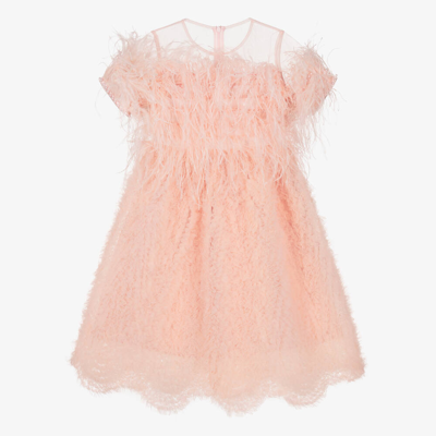 Eirene Kids'  Girls Pink Ruffled Tulle & Feather Dress