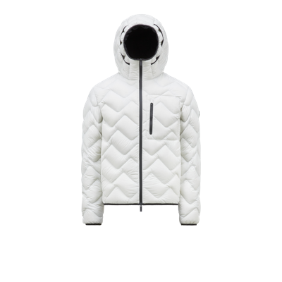 Moncler Collection Steliere Short Down Jacket Grey In Gris