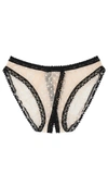 Only Hearts Coucou Lola Culotte Panty In Tinted & Black