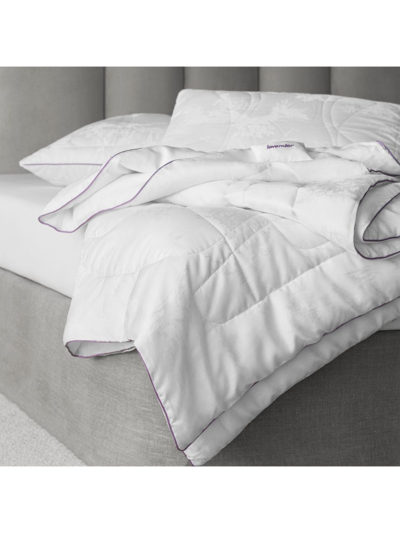 Togas Milk Dreams Comforter & Pillow Collection In White