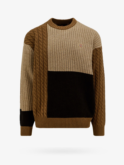 Dickies Sweater In Brown