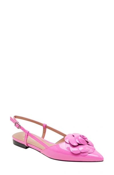 Linea Paolo Cammy Slingback Pointed Toe Flat In Magenta
