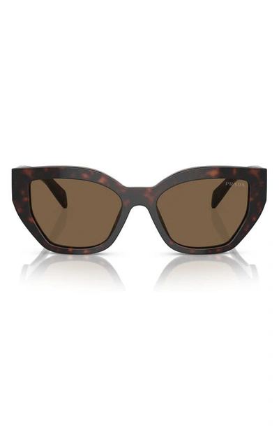 Prada 53mm Butterfly Sunglasses In Dark Brown
