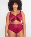 Elomi Cate Full Figure High Waist Briefs In Berry