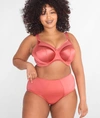 Goddess Keira Brief In Mineral Red