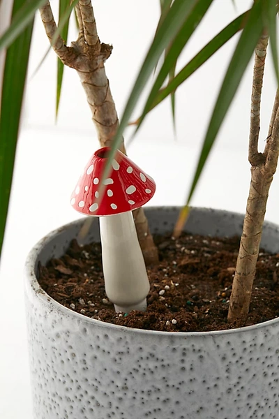 Urban Outfitters Amanita Mushroom Self-watering Bulb In Red At