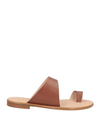 Guja Milano Woman Thong Sandal Brown Size 9 Cowhide In Brown