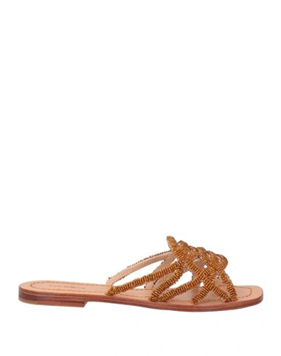 Maliparmi Malìparmi Woman Sandals Brown Size 6 Textile Fibers