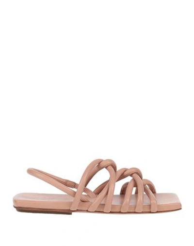 Marsèll Woman Sandals Blush Size 7.5 Calfskin In Pink