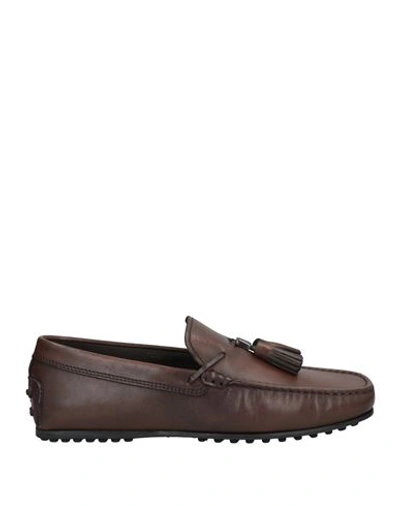 Tod's Man Loafers Cocoa Size 8.5 Soft Leather In Brown