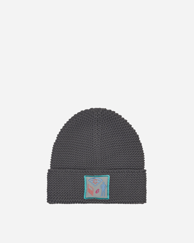 Cav Empt Poly Knit Cap In Grey