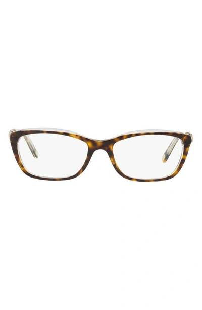 Tiffany & Co 52mm Cat Eye Reading Glasses In Havana