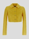 Dolce & Gabbana Monogram-jacquard Button-down Cropped Jacket In Yellow