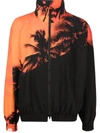 Blue Sky Inn Palm-tree Print Bomber Jacket In Black