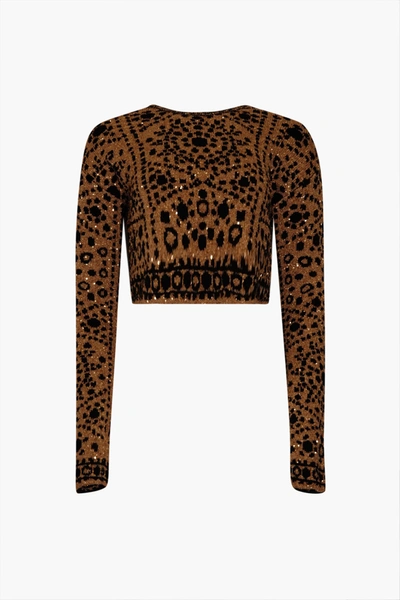 Altuzarra Spring Summer 23 'nuru' Sweater In Black/gold