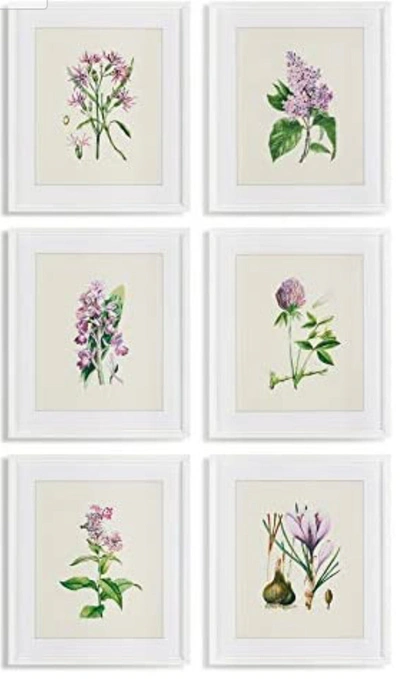 Napa Home & Garden Flower Study Prints, Set Of 6 Wall Art In Neutral