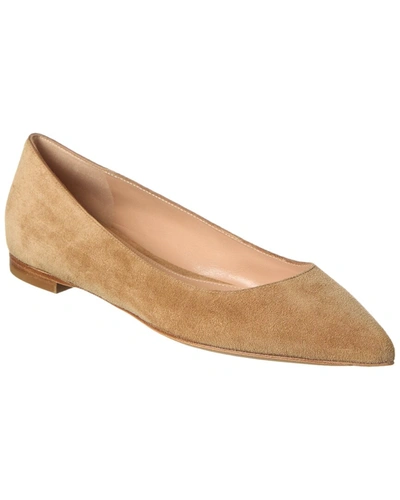 Gianvito Rossi Suede Flat In Brown