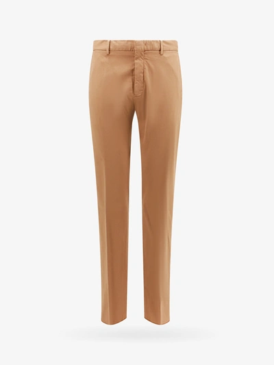 Zegna Trouser In Brown