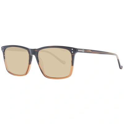 Hackett Men Men's Sunglasses In Brown