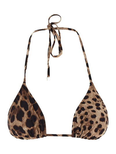 Dolce & Gabbana Leopard Bikini In Brown