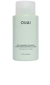 OUAI ANTI DANDRUFF SHAMPOO