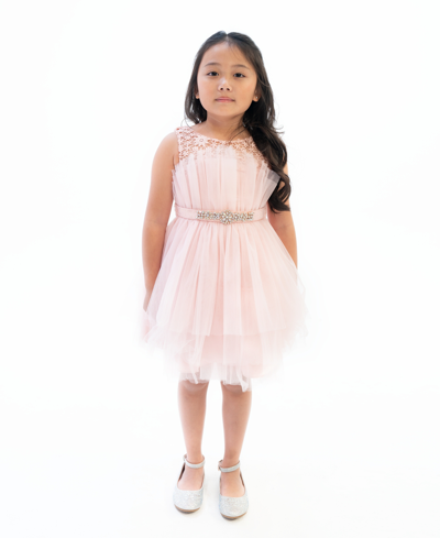 Rare Editions Kids' Toddler Girls Sleeveless Illusion And Mesh Party Dress In Blush
