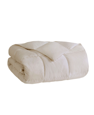 Sleep Philosophy Heavy Warmth Goose Feather & Goose Down Filling Comforter,, Full/queen In Cream