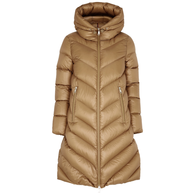 Moncler Cambales Quilted Shell Coat In Brown