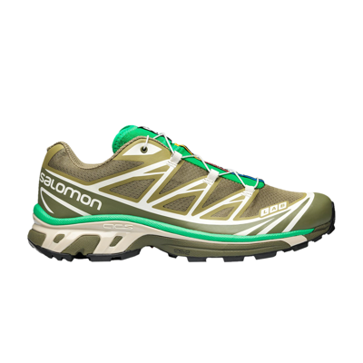 Pre-owned Salomon Xt-6 'dried Herb' In Green