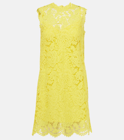 Dolce & Gabbana Cotton-blend Lace Minidress In Yellow