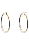Argento Vivo Diamond Cut Oval Hoop Earrings In Gold