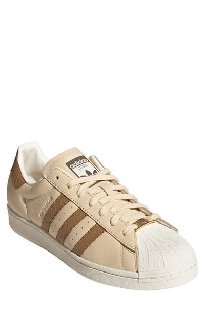 Adidas Originals Superstar Trainer In Sand/ Brown/ Off White