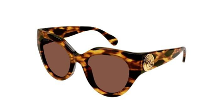 Pre-owned Gucci Gg 1408s 002 Havana/brown Cat Eye Women's Sunglasses