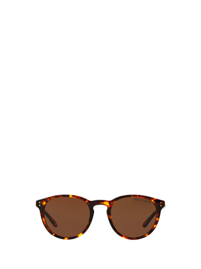 Polo Ralph Lauren Eyewear Round Frame Sunglasses In Brown