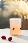 Anthropologie Icon Juice Glasses In Transparent