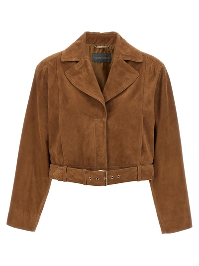 Alberta Ferretti Biker Suede Jacket In Brown