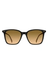 Raen Darine S741 Oversized Square Sunglasses In Brown