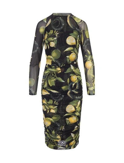 Roberto Cavalli Midi Black Stretch Dress With Lemons Print In Nero 191101