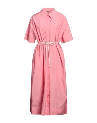 Peserico Woman Midi Dress Pink Size 16 Cotton, Polyester