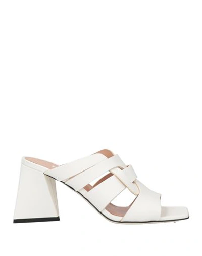 Pollini Woman Sandals White Size 11 Cowhide