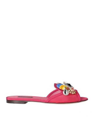Dolce & Gabbana Woman Sandals Magenta Size 7.5 Polyamide, Viscose