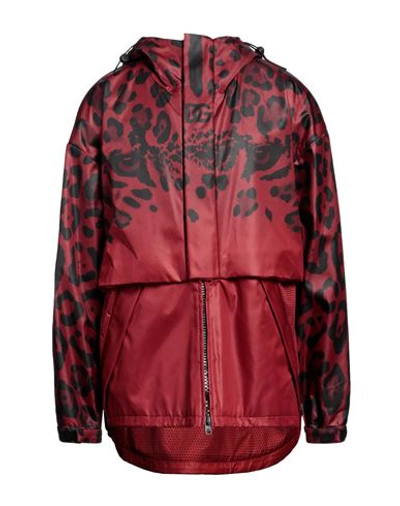 Dolce & Gabbana Man Jacket Brick Red Size 48 Cotton, Polyester